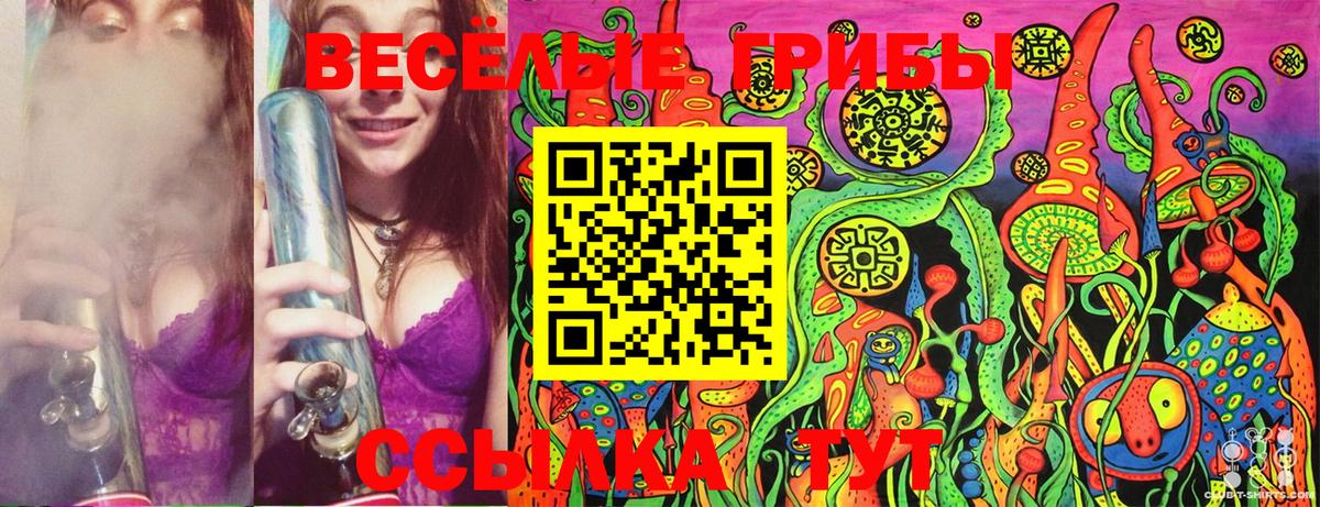 Псилоцибиновые грибы Cubensis Луховицы