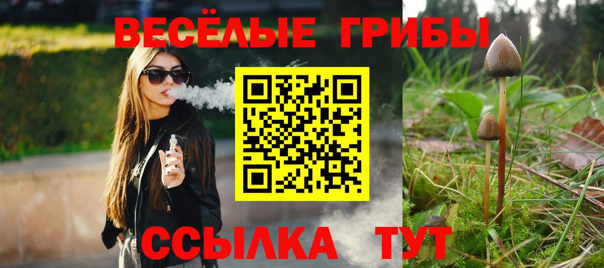Луховицы  наркошоп  Псилоцибиновые грибы мухоморы  Вход с VPN  Псилоцибиновые грибы ЛСД 