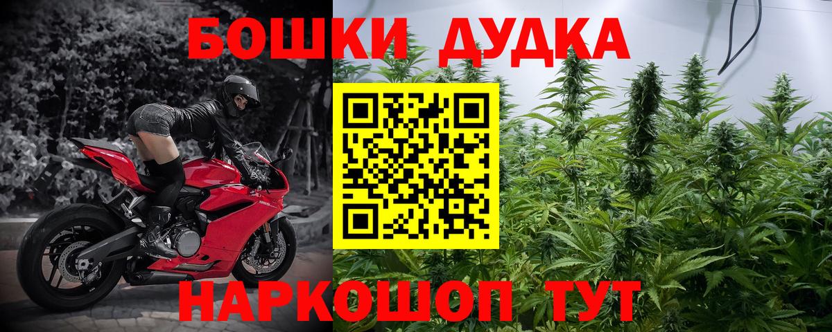 Каннабис планчик Луховицы